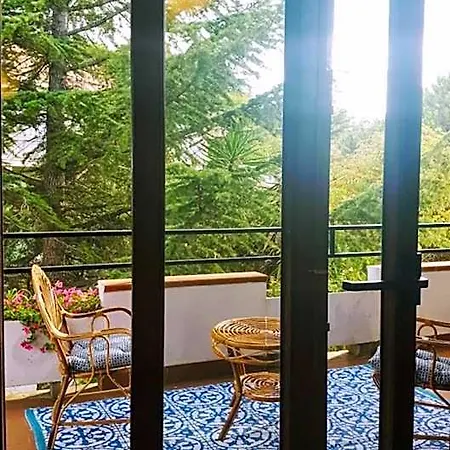 Sophia Bed & Breakfast Santa Sofia d'Epiro